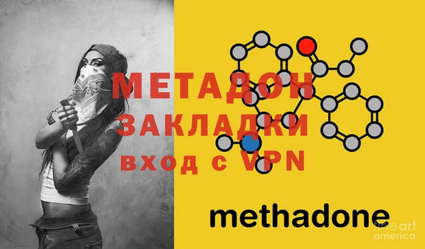 хмурый Аркадак