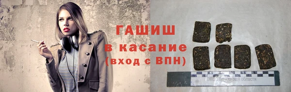 хмурый Аркадак