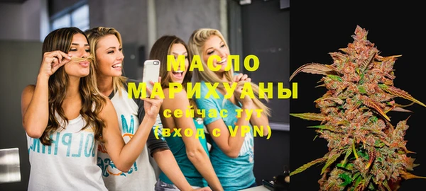 хмурый Аркадак