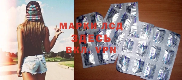 хмурый Аркадак